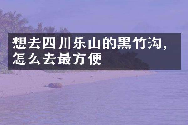 想去四川乐山的黑竹沟，怎么去最方便