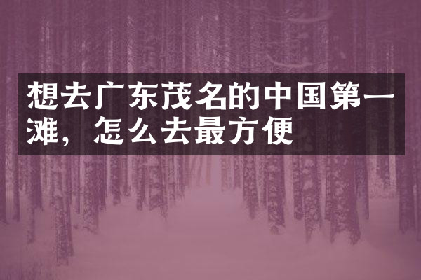 想去广东茂名的中国第一滩，怎么去最方便