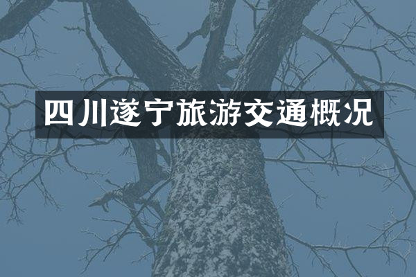 四川遂宁旅游交通概况