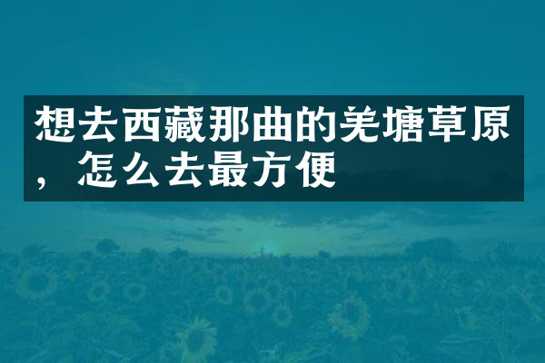 想去西藏那曲的羌塘草原，怎么去最方便
