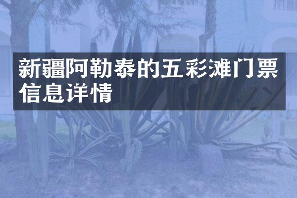 新疆阿勒泰的五彩滩门票信息详情