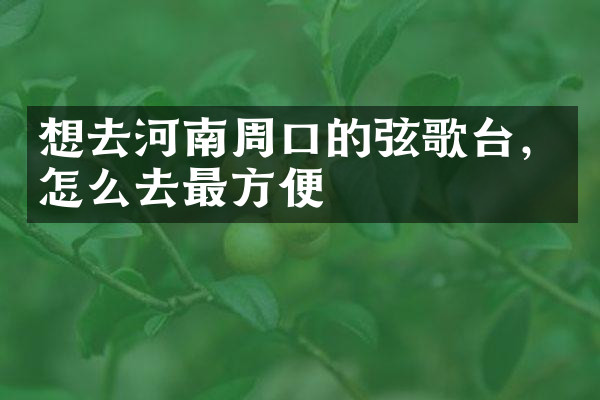 想去河南周口的弦歌台，怎么去最方便