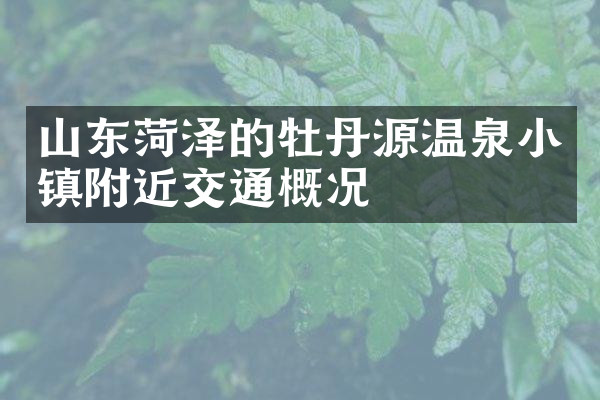 山东菏泽的牡丹源温泉小镇附近交通概况