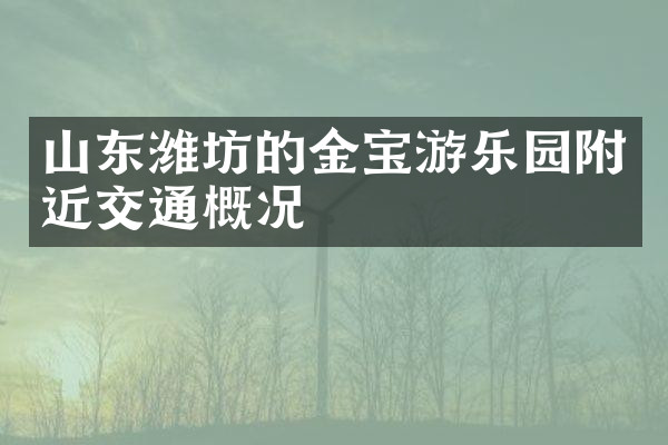山东潍坊的金宝游乐园附近交通概况