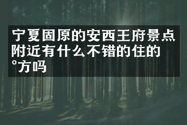宁夏固原的安西王府景点附近有什么不错的住的地方吗