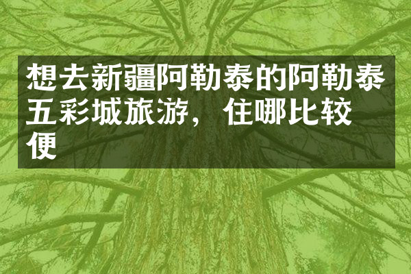 想去新疆阿勒泰的阿勒泰五彩城旅游，住哪比较方便