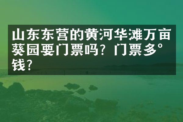 山东东营的黄河华滩万亩葵园要门票吗？门票多少钱？