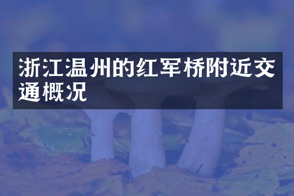 浙江温州的红军桥附近交通概况