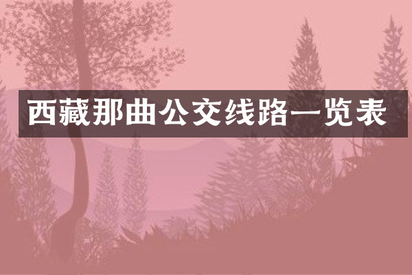 西藏那曲公交线路一览表