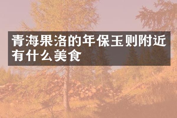 青海果洛的年保玉则附近有什么美食