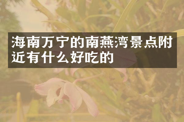 海南万宁的南燕湾景点附近有什么好吃的