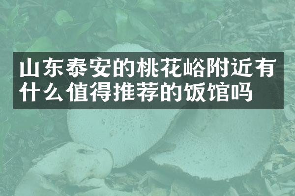 山东泰安的桃花峪附近有什么值得推荐的饭馆吗