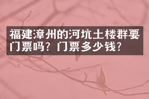 福建漳州的河坑土楼群要门票吗？门票多少钱？