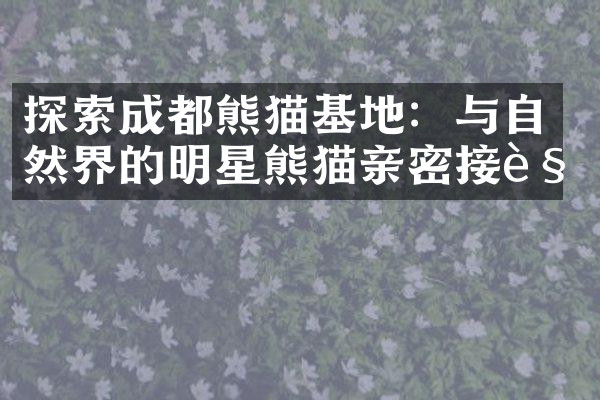 探索成都熊猫基地：与自然界的明星熊猫亲密接触