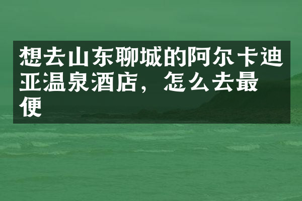想去山东聊城的阿尔卡迪亚温泉酒店，怎么去最方便