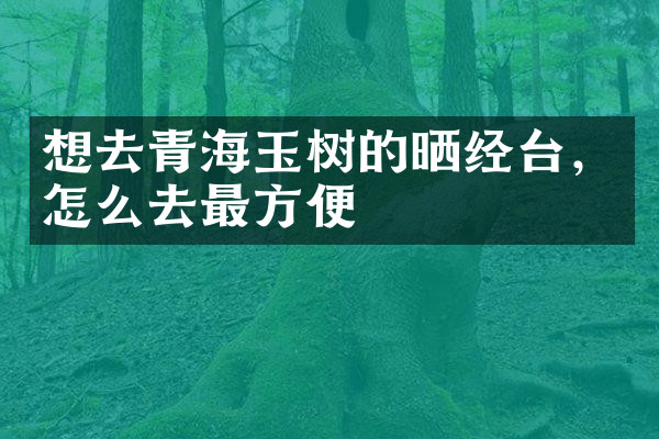 想去青海玉树的晒经台，怎么去最方便
