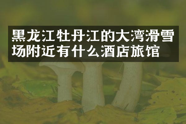 黑龙江牡丹江的大湾滑雪场附近有什么酒店旅馆吗