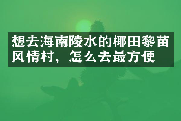 想去海南陵水的椰田黎苗风情村，怎么去最方便