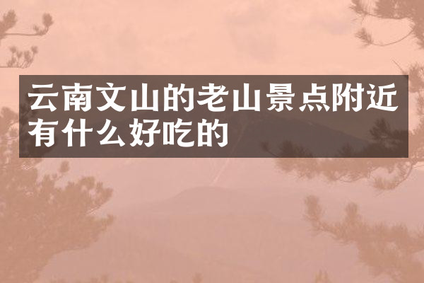 云南文山的老山景点附近有什么好吃的