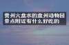 贵州六盘水的盘州动物园景点附近有什么好吃的