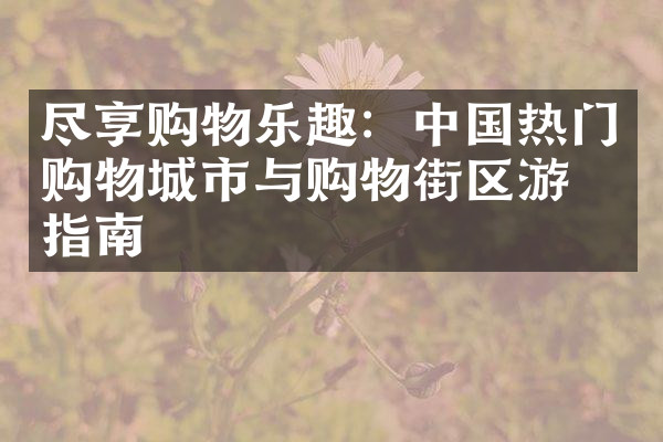 尽享购物乐趣：中国热门购物城市与购物街区游玩指南