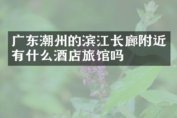 广东潮州的滨江长廊附近有什么酒店旅馆吗