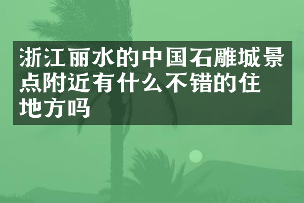 浙江丽水的中国石雕城景点附近有什么不错的住的地方吗