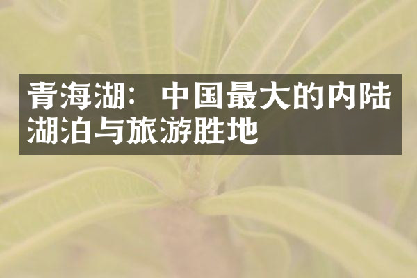 青海湖：中国最大的内陆湖泊与旅游胜地