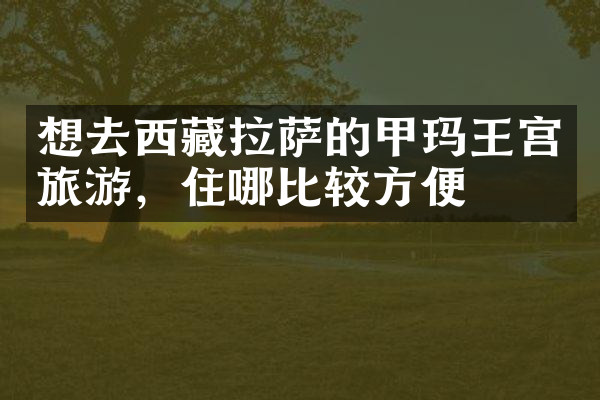 想去西藏拉萨的甲玛王宫旅游，住哪比较方便