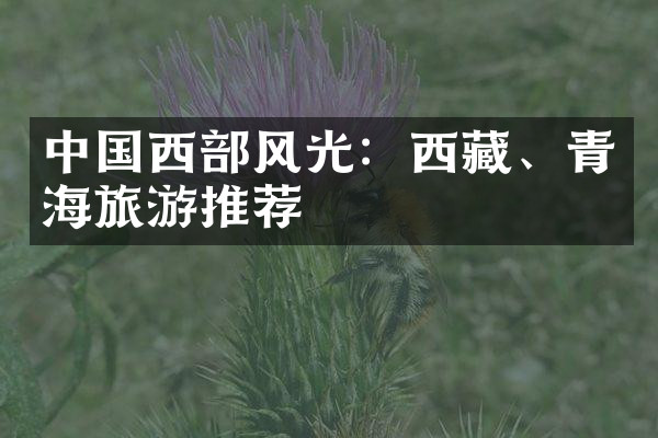 中国西部风光：西藏、青海旅游推荐