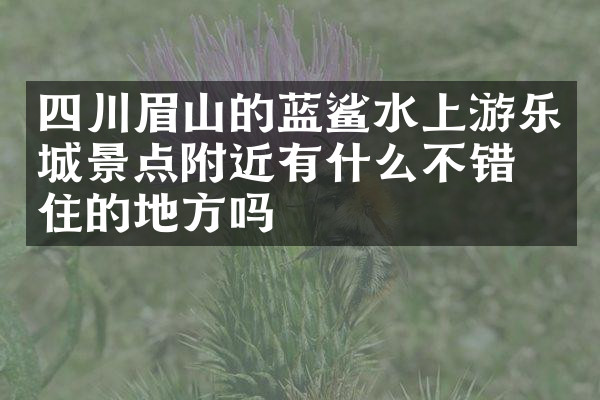 四川眉山的蓝鲨水上游乐城景点附近有什么不错的住的地方吗