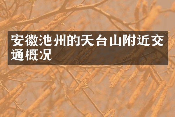 安徽池州的天台山附近交通概况