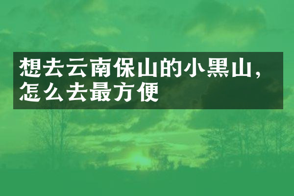 想去云南保山的小黑山，怎么去最方便