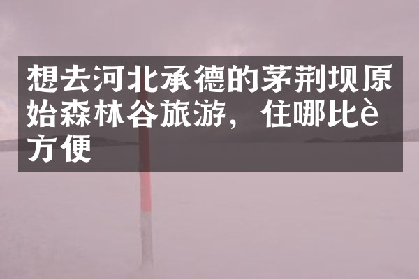 想去河北承德的茅荆坝原始森林谷旅游，住哪比较方便