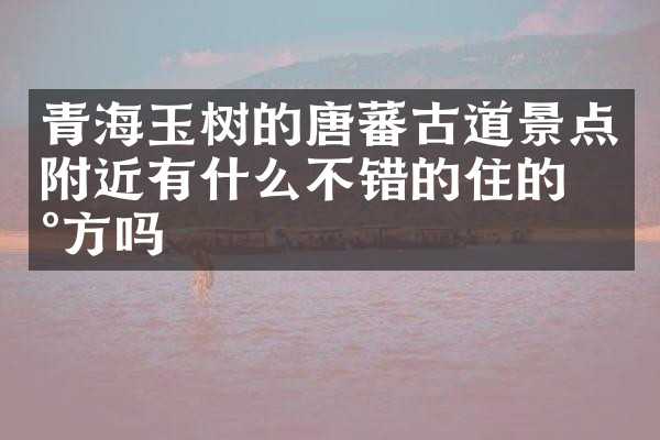 青海玉树的唐蕃古道景点附近有什么不错的住的地方吗