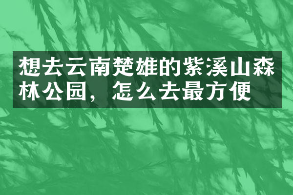 想去云南楚雄的紫溪山森林公园，怎么去最方便