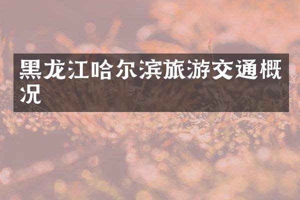 黑龙江哈尔滨旅游交通概况