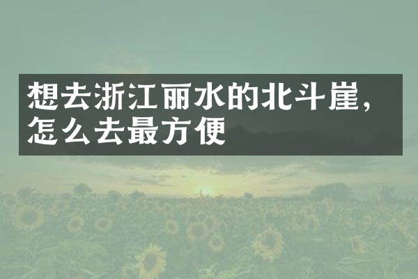 想去浙江丽水的北斗崖，怎么去最方便