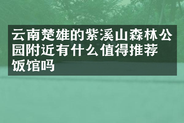 云南楚雄的紫溪山森林公园附近有什么值得推荐的饭馆吗