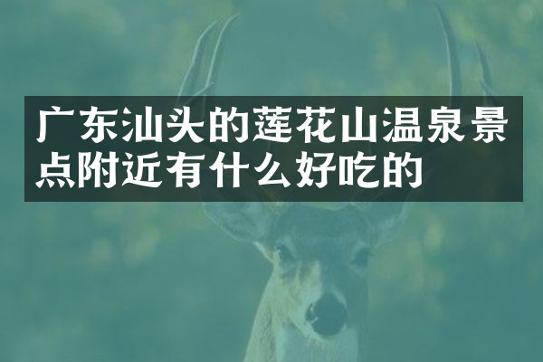 广东汕头的莲花山温泉景点附近有什么好吃的