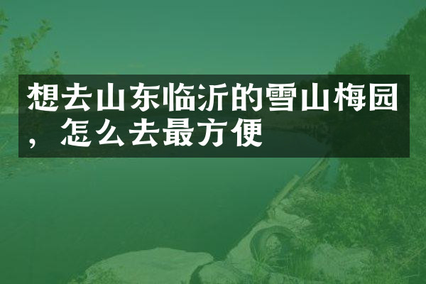 想去山东临沂的雪山梅园，怎么去最方便