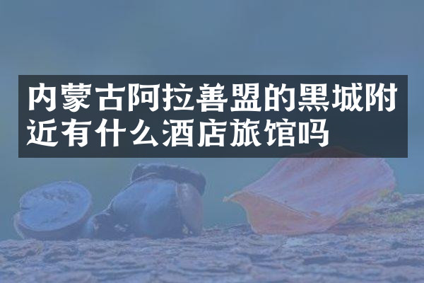 内蒙古阿拉善盟的黑城附近有什么酒店旅馆吗