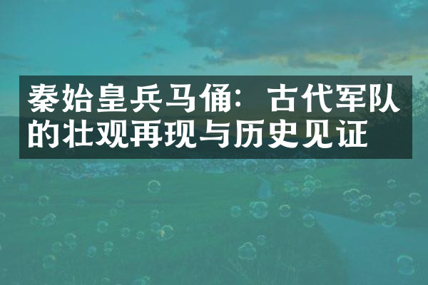 秦始皇兵马俑：古代军队的壮观再现与历史见证