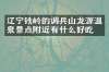 辽宁铁岭的调兵山龙源温泉景点附近有什么好吃的