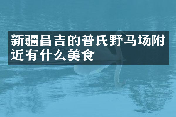 新疆昌吉的普氏野马场附近有什么美食