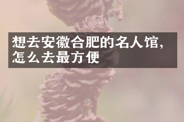 想去安徽合肥的名人馆，怎么去最方便