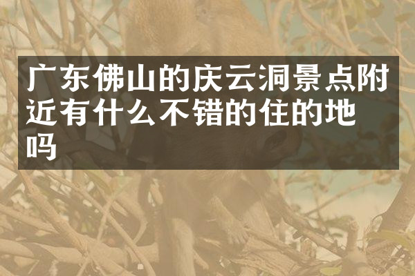 广东佛山的庆云洞景点附近有什么不错的住的地方吗