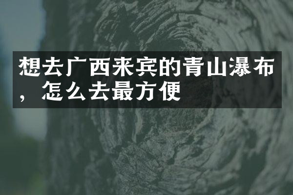 想去广西来宾的青山瀑布，怎么去最方便