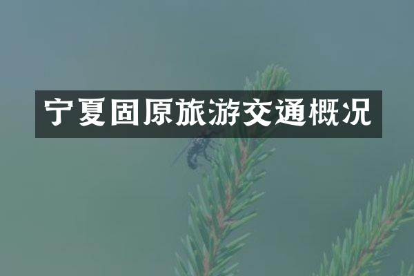 宁夏固原旅游交通概况