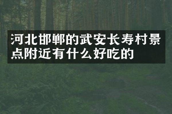 河北邯郸的武安长寿村景点附近有什么好吃的